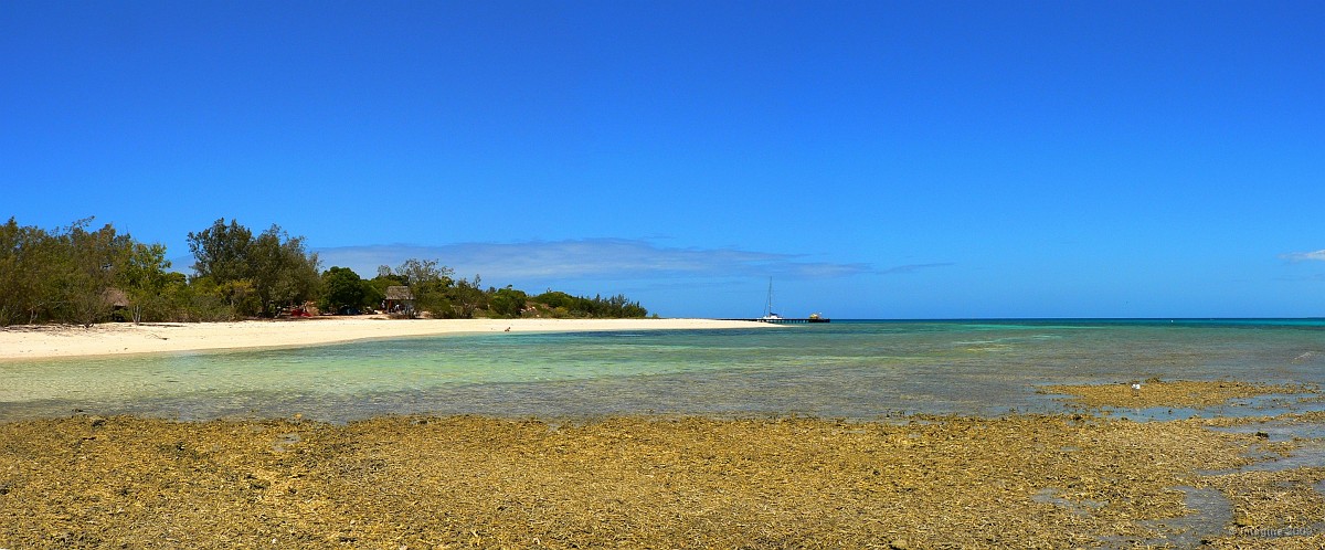 73- Plage est de l'ilot Signal.JPG